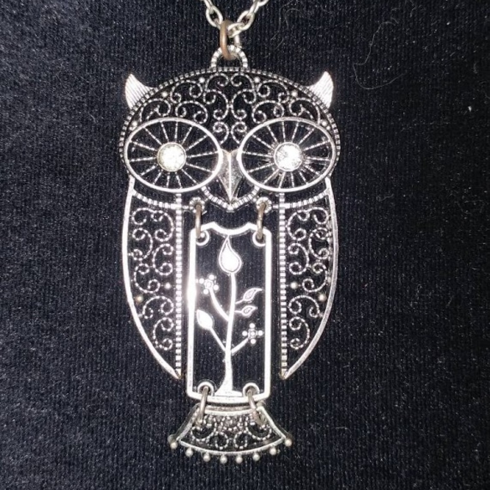 Silver Owl Necklace and Earring set